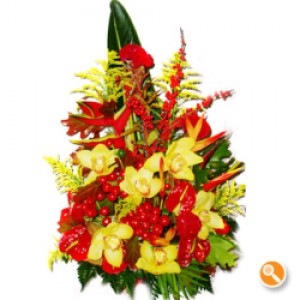 Arranjo com orquideas - Alegria