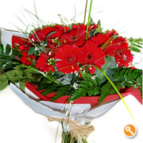 Bouquet de Gerberas Vermelhas - Red Fire