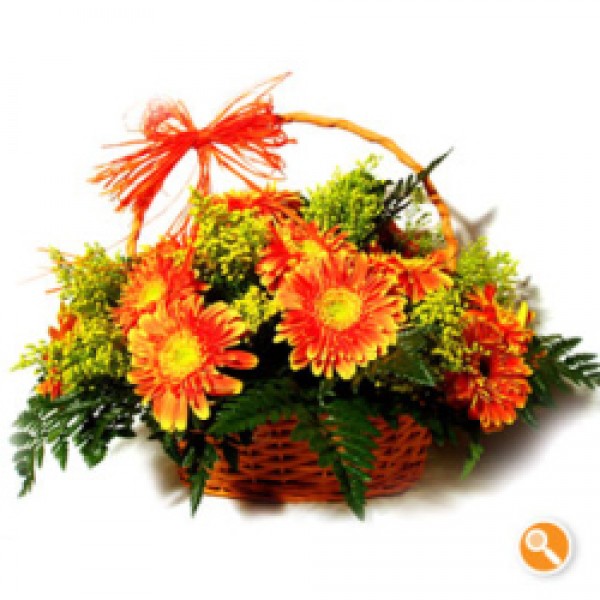 Cesta Gerbera cor de laranja 